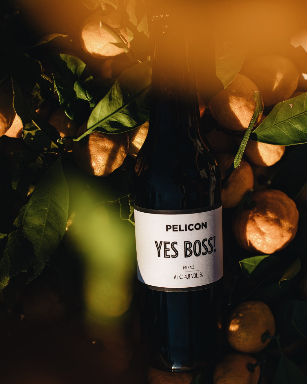 Yes Boss! (pale ale)